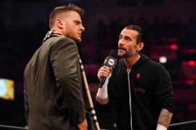 cm punk