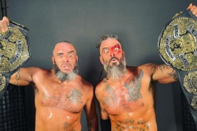 The Briscoes ROH