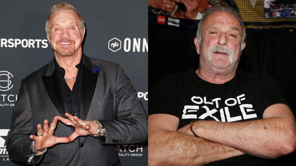 Jake The Snake Roberts DDP