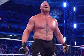 brock lesnar