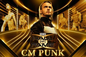 cm punk