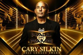 cary silkin