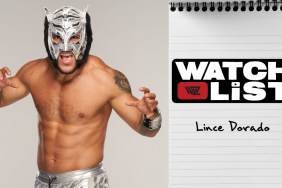 lince dorado