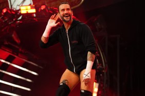 cm punk