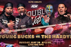 aew double or nothing young bucks hardys