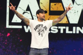 cm punk