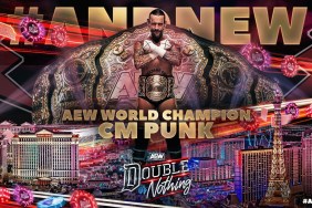 cm punk aew world champion