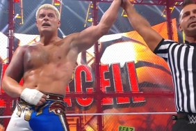 Cody Rhodes WWE Hell in a Cell