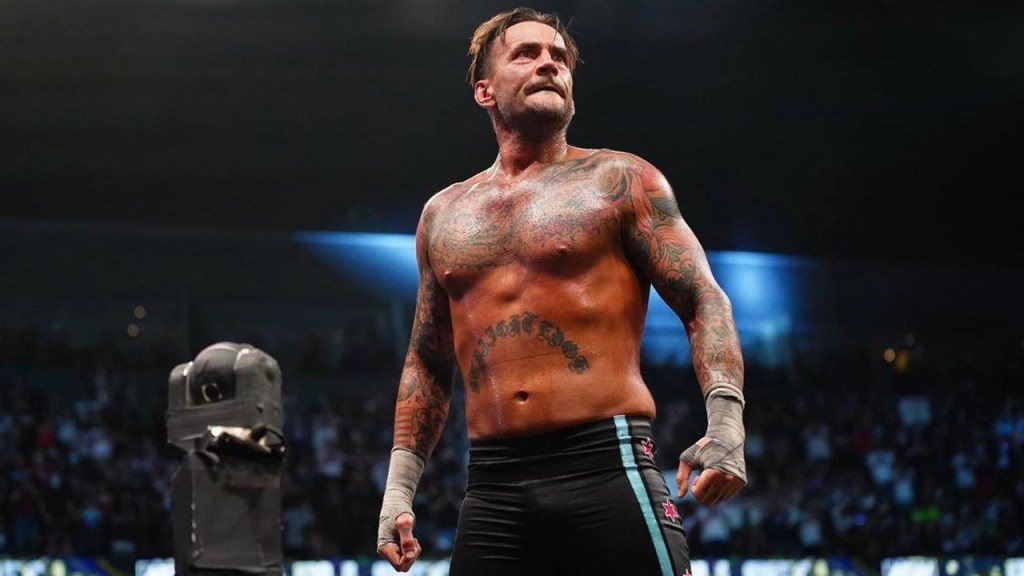 cm punk