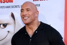 the rock