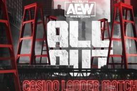 AEW All Out Casino Ladder match