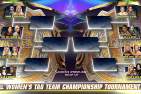 wwe women's tag team tournament