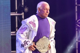 ric flair