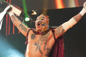 rey fenix