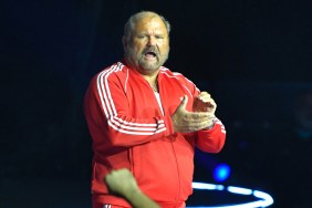 arn anderson