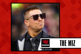 the miz