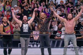 The Elite AEW