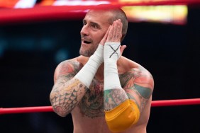 cm punk