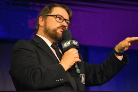 tony schiavone