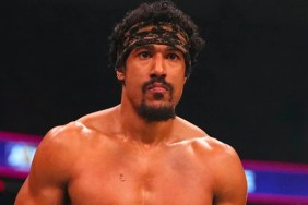 ar fox