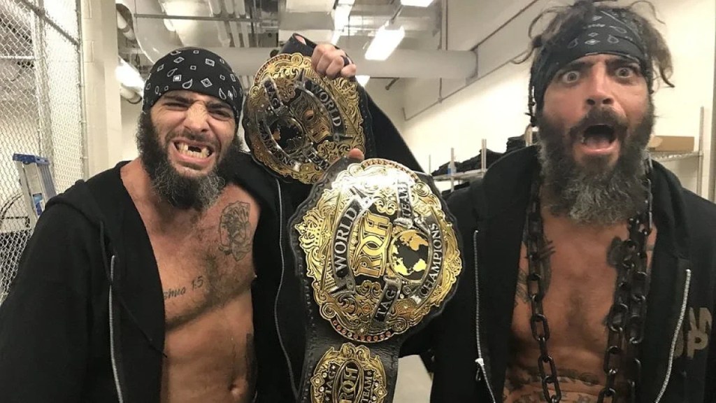 the briscoes