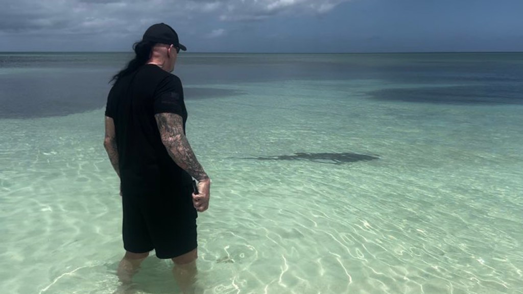 the undertaker shark