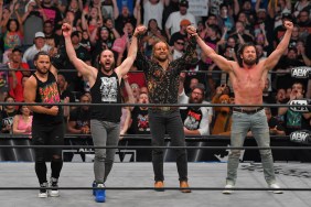 the elite aew