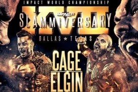 IMPACT Wrestling Slammiversary XVII co-main event.