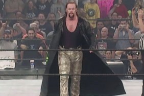 the undertaker