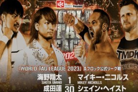 NJPW World Tag League Shota Umino Ren Narita TMDK