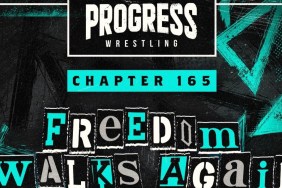 PROGRESS Freedom Walks Again The Collective