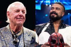 andrade ric flair