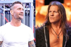 chris jericho cm punk