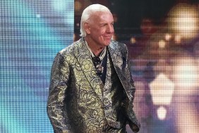 ric flair