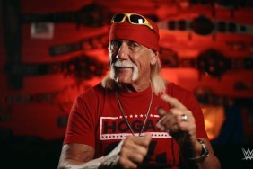 Hulk Hogan WWE RAW