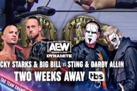 Ricky Starks Big Bill Sting Darby Allin AEW Dynamite