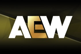 aew logo 2024