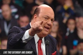 Paul Heyman WWE