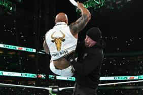 WWE WrestleMania 40 The Undertaker The Rock