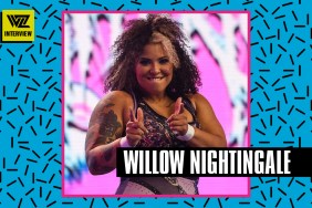 willow nightingale