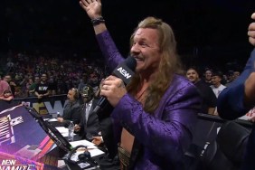 AEW Double or Nothing Chris Jericho