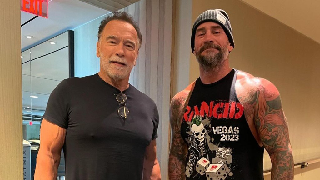 arnold schwarzenegger cm punk