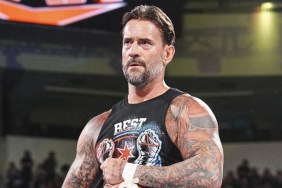 cm punk