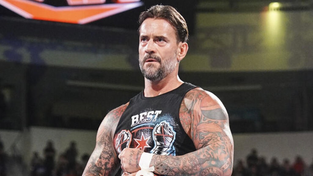 cm punk