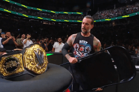 CM Punk Spoils Drew McIntyre Cashing In Briefcase At WWE Money In The Bank