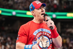 john cena wwe