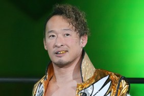 Naomichi Marufuji