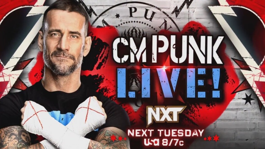 CM Punk WWE NXT