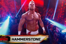 Hammerstone WWE NXT