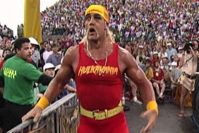 hulk hogan wrestlemania ix